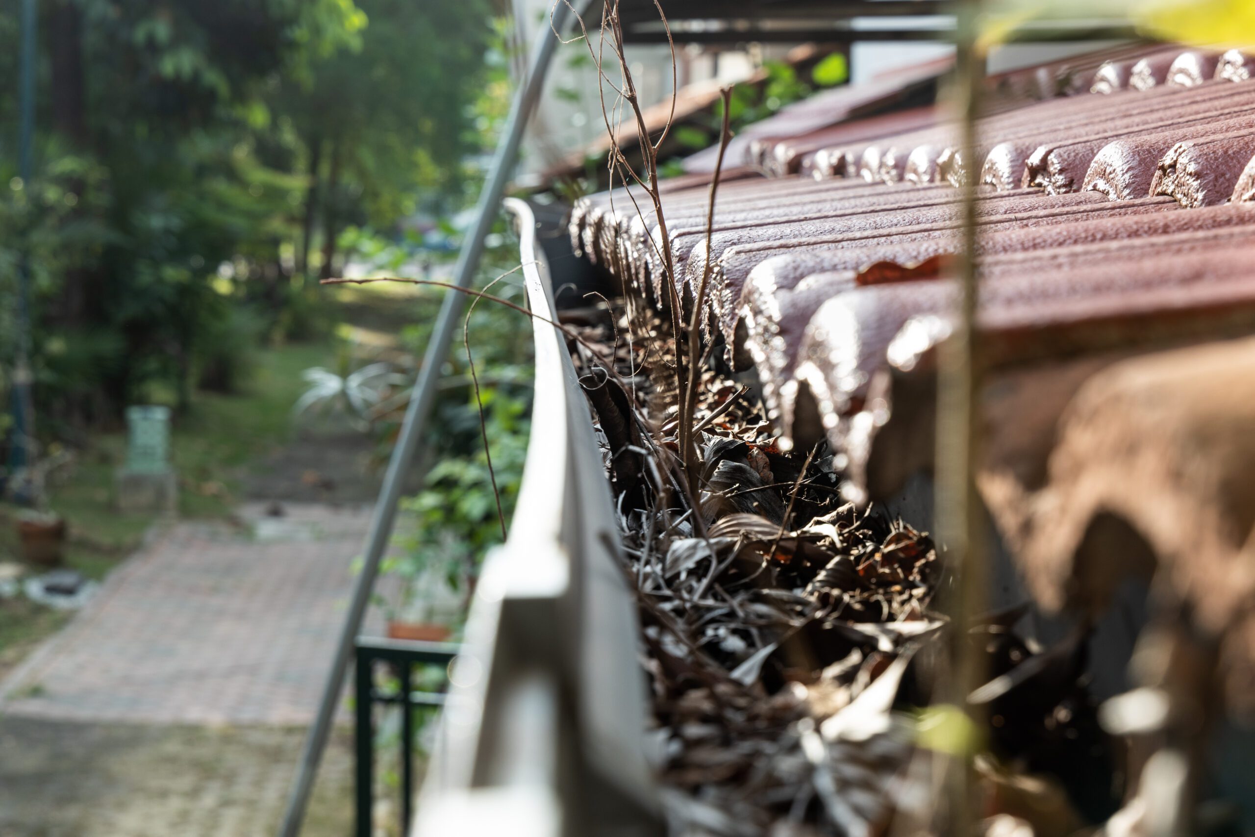 Close-up of roof rain gutter blocked with dry leaves and debris beside red tile roof