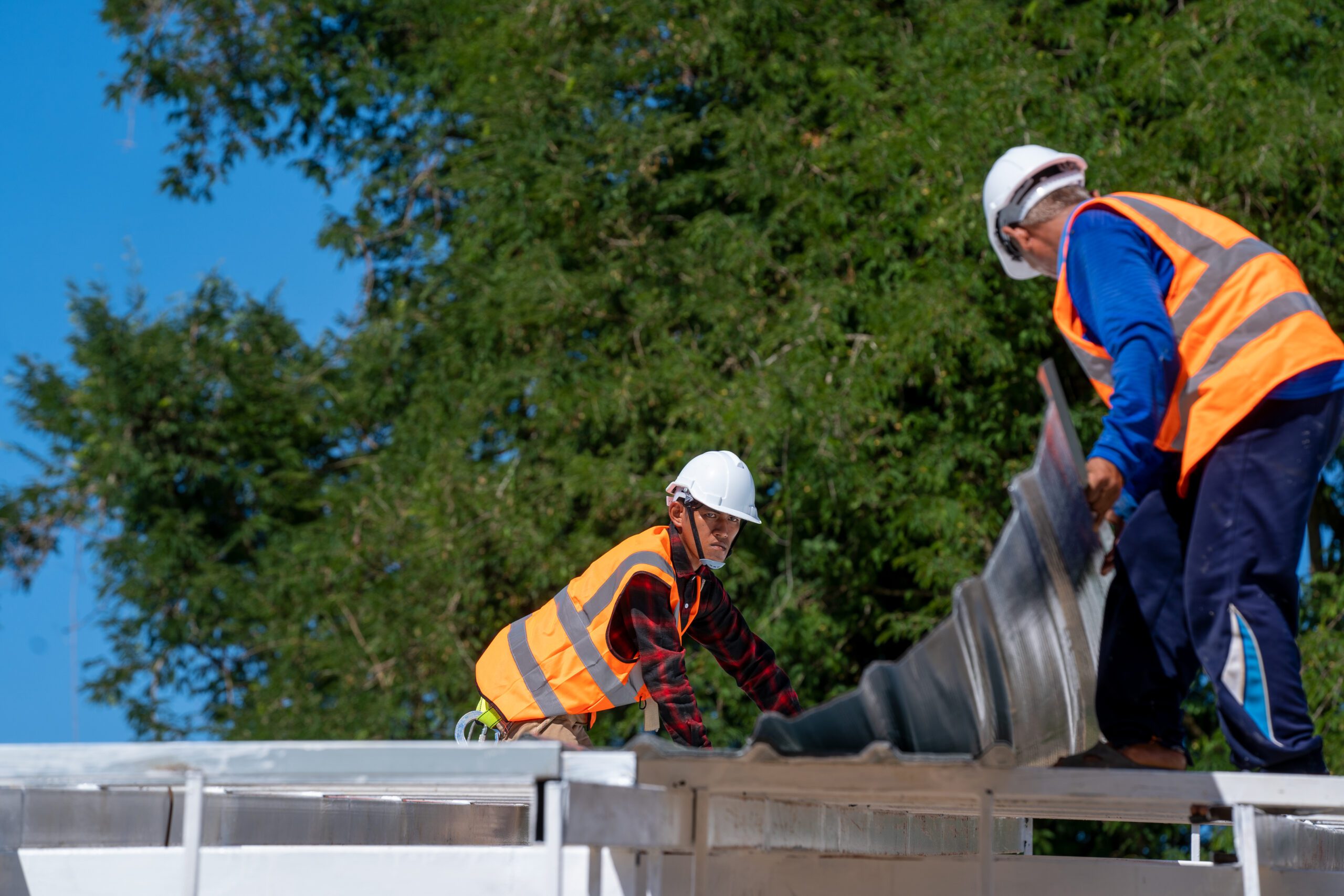 Roofing crew lifting and aligning large metal roofing sheets during professional installation